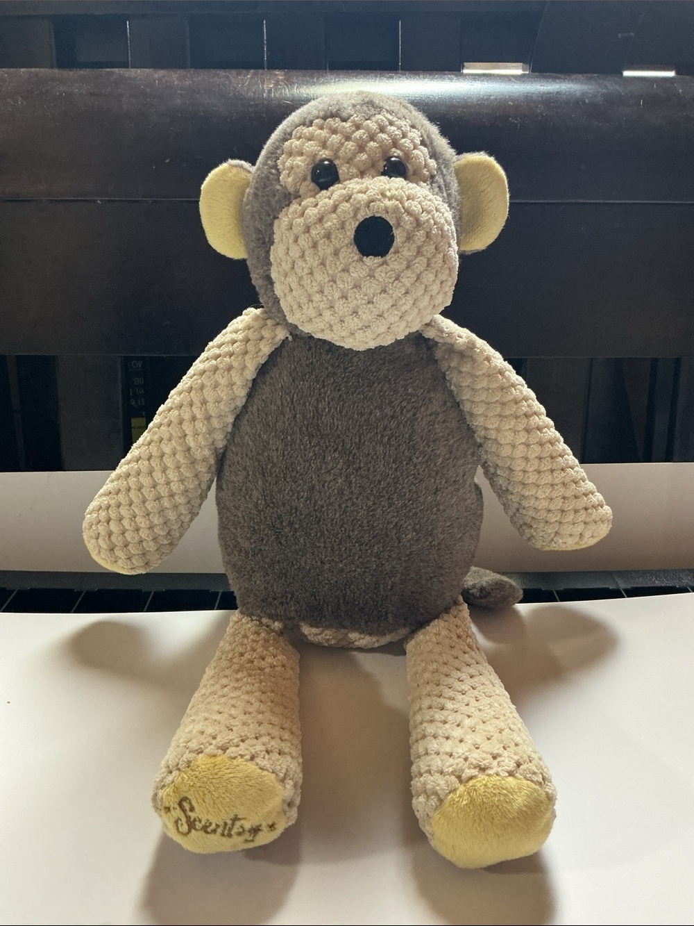 Mollie the Monkey Scentsy buddy with Happy Birthday Scent Pack Like New